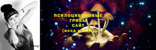мдпв Нея