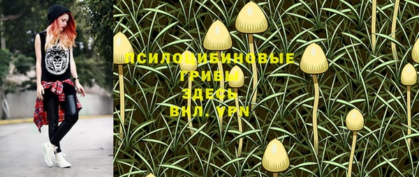 альфа пвп Нефтегорск