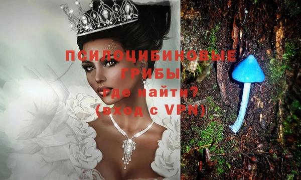мдпв Нея