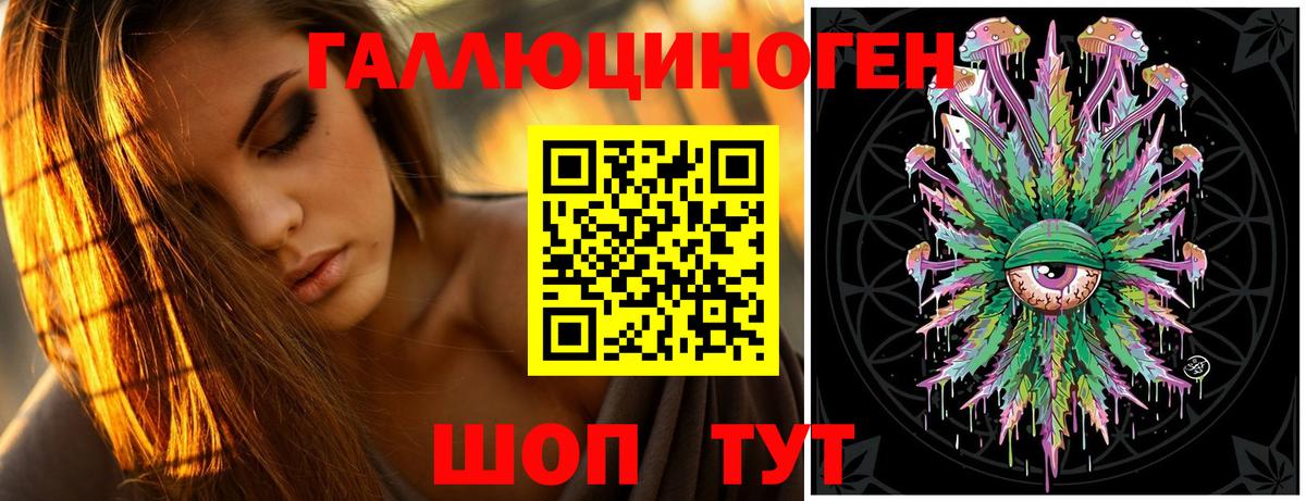 Псилоцибиновые грибы Cubensis Кольчугино
